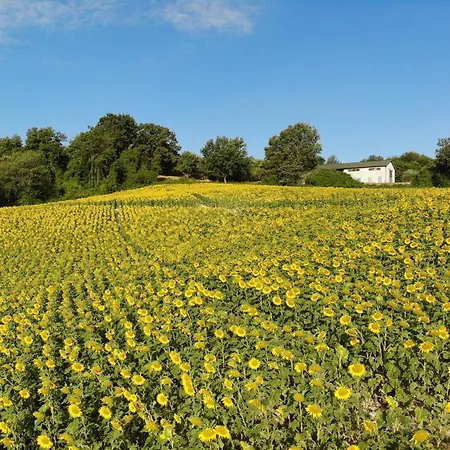 I Magnoni * ペルゴラ