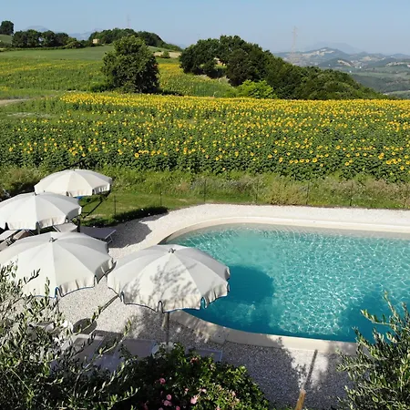 I Magnoni * ペルゴラ