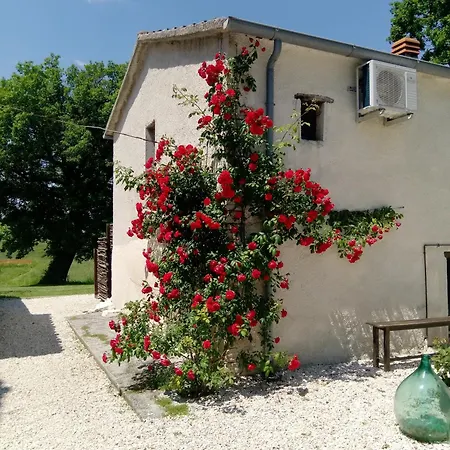 I Magnoni Apartment Pergola