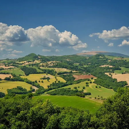 I Magnoni