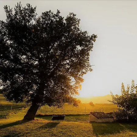 I Magnoni アパート