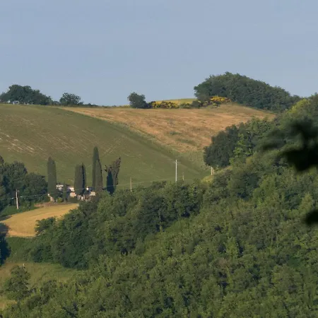 I Magnoni *