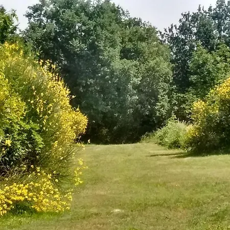 Appartement I Magnoni