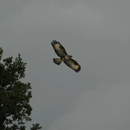 Appartement I Magnoni Pergola